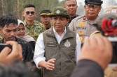 Jumlah Polisi Hutan Bakal Ditambah Jadi 70.000 Orang