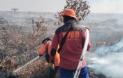 106 Titik Panas Terpantau di Riau Hari Ini, Indragiri Hulu Tertinggi