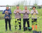 Polres Rohil Tanam 50 Bibit Pohon, Dukung Gerakan Satu Juta Pohon Kapolda Riau