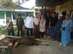 Sambut Idul Adha, Forkom RTRWD Bersatu Kepenghuluan Bagan Jawa Sembelih Hewan Qurban Sapi
