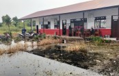 Banjir Rendam Halaman SDN 025 Bagan Hulu, Buaya Muncul di Lingkungan Sekolah