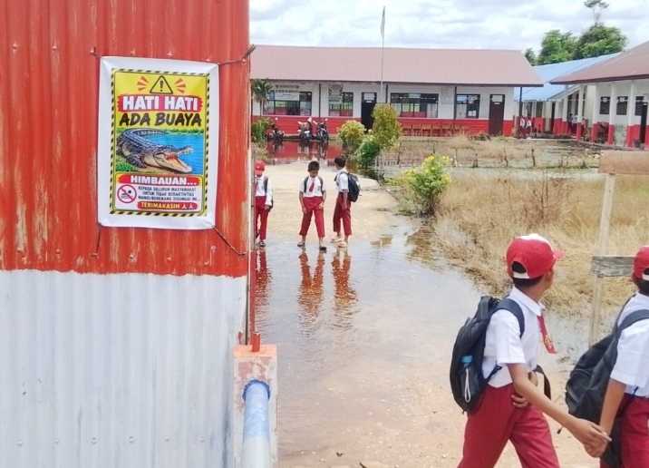 Buaya Kembali Muncul di Bagan Hulu, Sekolah Tingkatkan Pengawasan Siswa