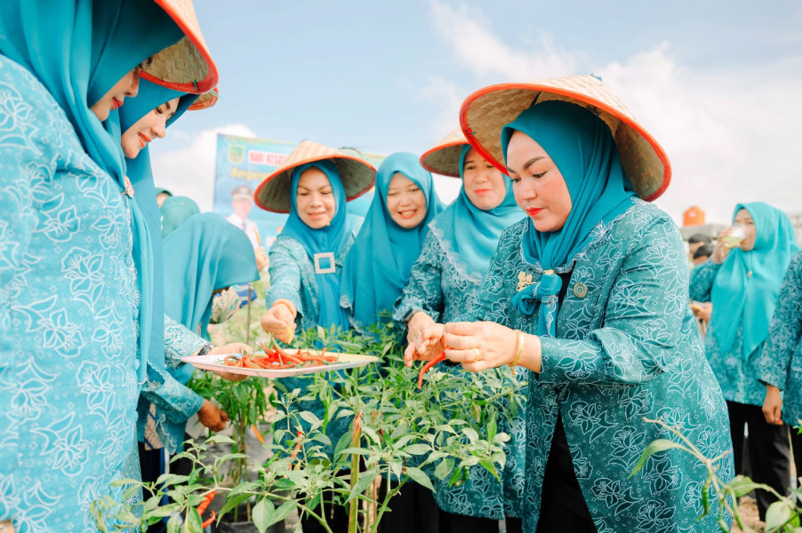 PKK Rokan Hilir Zoom Meeting Lakukan Penanaman Cabai Secara Serentak Bersama Iriana Joko Widodo