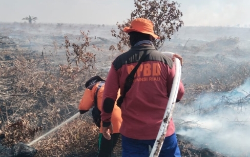 106 Titik Panas Terpantau di Riau Hari Ini, Indragiri Hulu Tertinggi