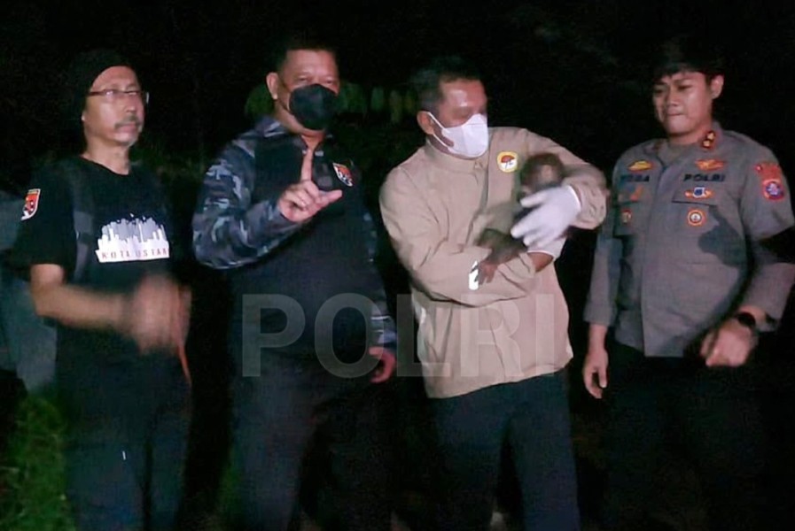 Polri dan Tim Gabungan Selamatkan Induk dan Anak Orang Utan di Kotim