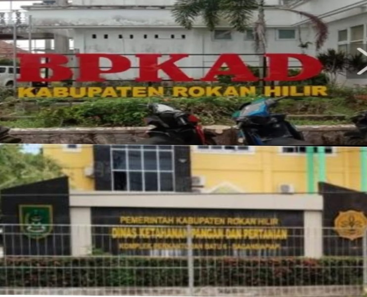 DKPP Belum Ajukan Pergeseran APBD, Penyelesaian Tunda Bayar Rohil Berpotensi Tersendat