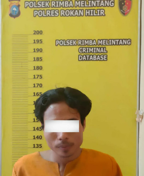 Gerak Cepat, Polsek Rimba Melintang Tangkap 3 Pelaku Curanmor