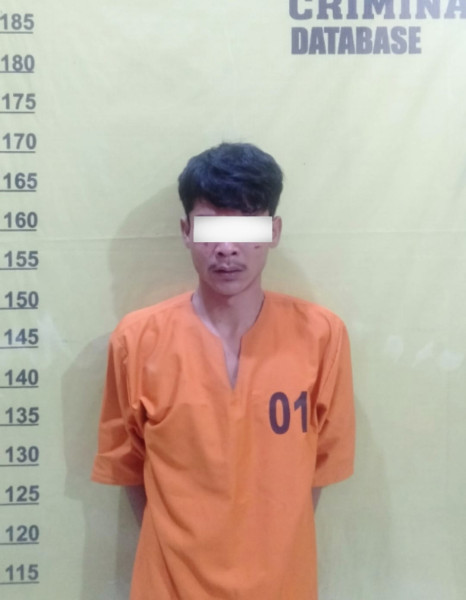 Curi Sepeda Motor Pencari Ikan, Pria Asal Torgamba Diringkus Polsek Simpang Kanan