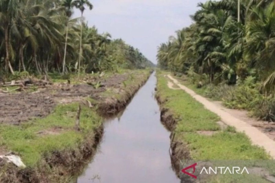 Menang Praperadilan, Polda Riau Lanjutkan Penyidikan Jual Beli Lahan Kawasan Hutan di Rohil