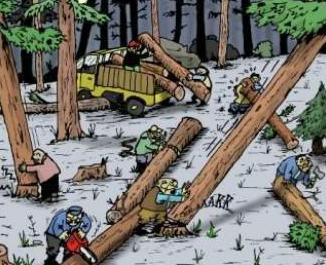 Ketua Yayasan Pendidikan Kartini Panipahan Acan, Diduga Rambah Kawasan Hutan Ratusan Hektar