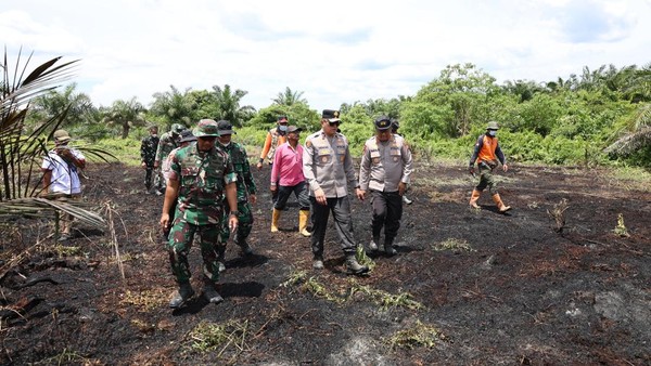 Polda Riau-TNI-BPBD Patroli Udara dan Darat Pantau Karhutla
