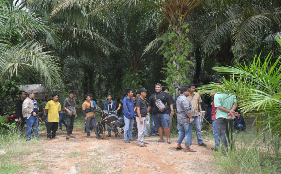 Kerap di PHP, Pemuda Bangko Pusako Rokan Hilir Ramai Ramai Stop Kegiatan PT GWDC