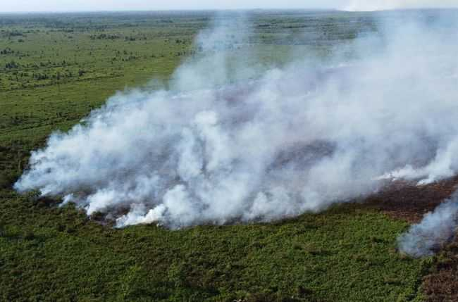 22 Hotspot Kepung Sumatera, Riau Bebas Titik Panas