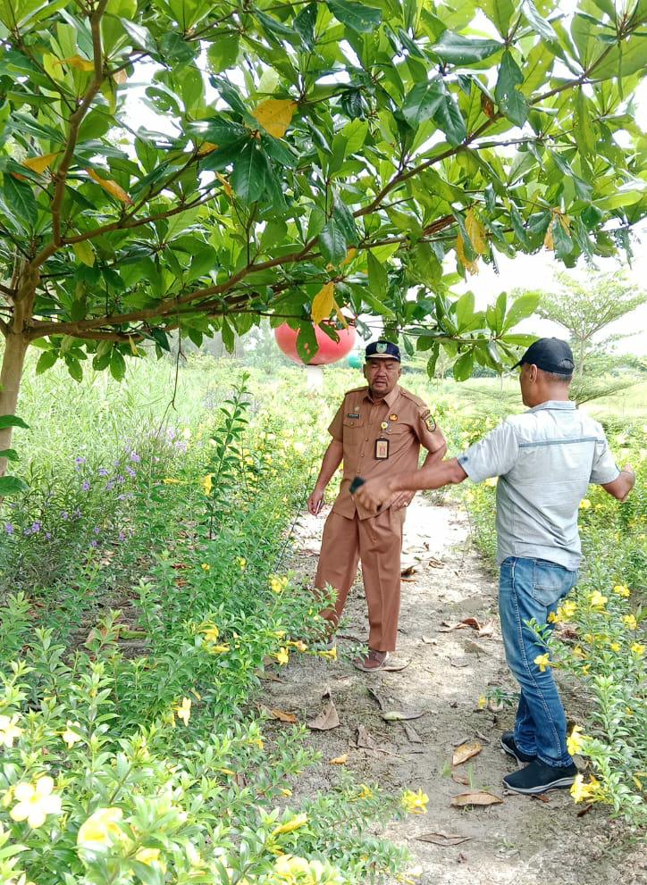 DLH Rokan Hilir Percantik Taman Jembatan Pedamaran I Untuk Tujuan Wisata