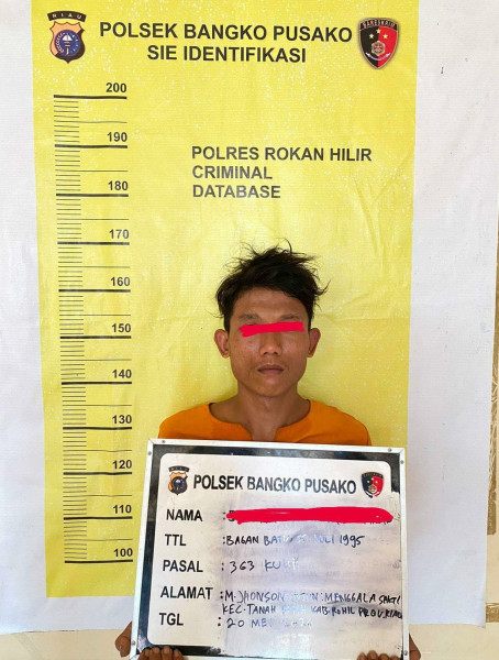 Satu Dari Dua Pelaku Pencuri Sarang Walet Berhasil Diringkus, 1 DPO Polsek Bangko Pusako